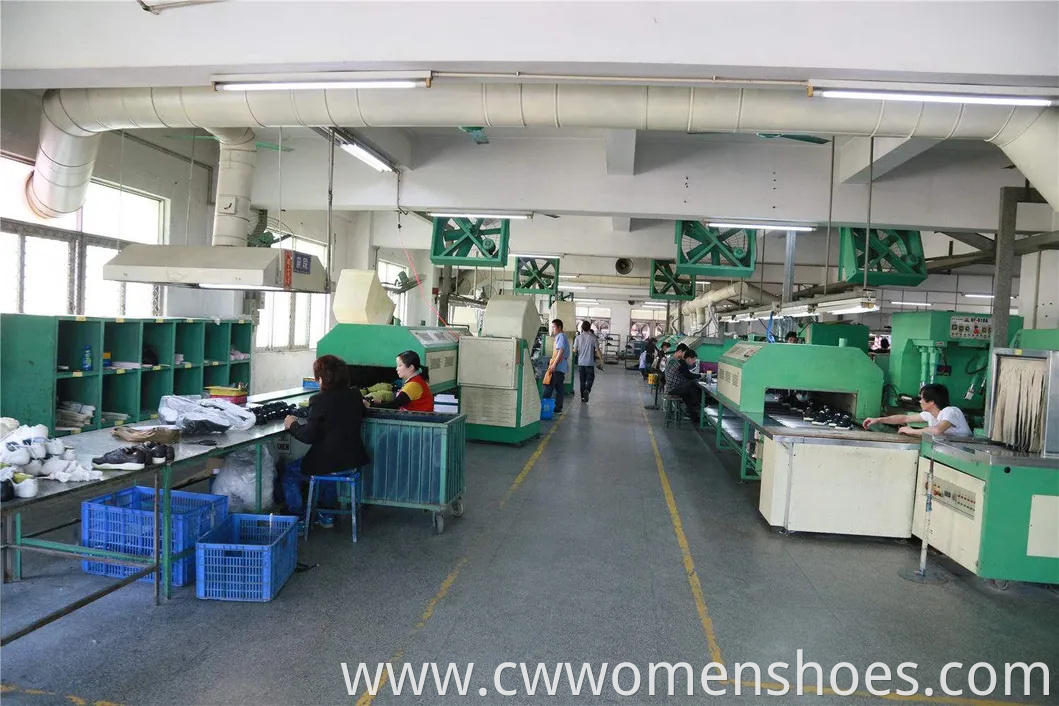 Latest Fashion Flat - Soled Sports Shoes Wholesale Factory. Women's White Casual Shoes. Customizable.